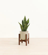 Load image into Gallery viewer, Sage Green stand:walnut
