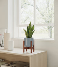 Load image into Gallery viewer, Misty Blue stand:walnut
