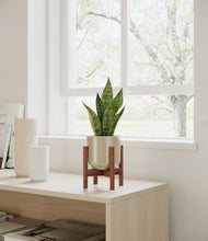 Load image into Gallery viewer, Sage Green stand:walnut
