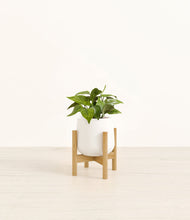 Load image into Gallery viewer, White stand:bamboo
