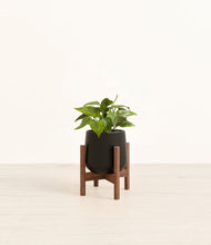Load image into Gallery viewer, Black stand:walnut
