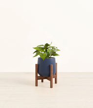 Load image into Gallery viewer, Deep Navy stand:walnut
