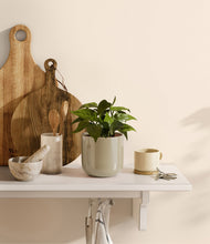 Load image into Gallery viewer, Sage Green
