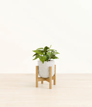 Load image into Gallery viewer, Hammered Ivory stand:bamboo
