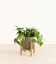 Lade das Bild in den Galerie-Viewer, Olive stand:bamboo
