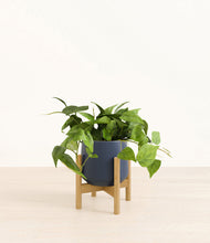 Lade das Bild in den Galerie-Viewer, Deep Navy stand:bamboo
