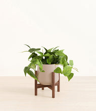 Lade das Bild in den Galerie-Viewer, Eternal Gray stand:walnut
