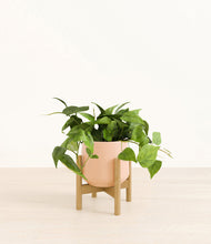 Lade das Bild in den Galerie-Viewer, Gentle Pink stand:bamboo
