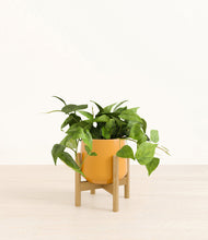 Lade das Bild in den Galerie-Viewer, Mustard stand:bamboo
