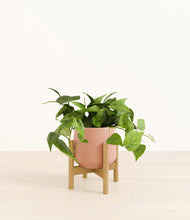 Lade das Bild in den Galerie-Viewer, Calm Rose stand:bamboo
