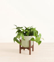 Lade das Bild in den Galerie-Viewer, Turquoise stand:walnut
