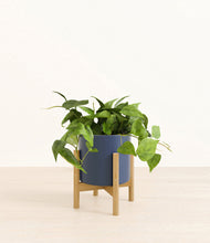 Load image into Gallery viewer, Deep Navy stand:bamboo
