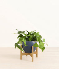 Load image into Gallery viewer, Deep Navy stand:bamboo
