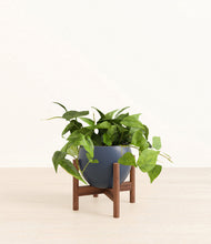 Load image into Gallery viewer, Deep Navy stand:walnut
