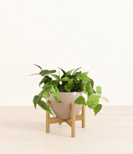 Load image into Gallery viewer, Desert Brown stand:bamboo
