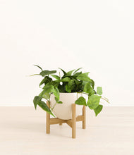 Load image into Gallery viewer, Shiny EggWhite stand:bamboo
