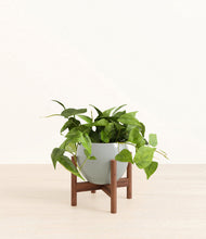 Load image into Gallery viewer, Deep Ocean stand:walnut
