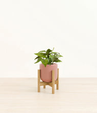 Load image into Gallery viewer, Striped Rose Pink stand:bamboo
