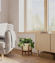 Lade das Bild in den Galerie-Viewer, Almond Green stand:walnut
