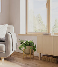 Lade das Bild in den Galerie-Viewer, Olive stand:bamboo
