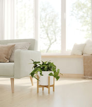 Load image into Gallery viewer, White stand:bamboo
