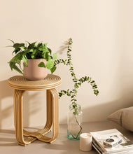 Lade das Bild in den Galerie-Viewer, Gentle Pink
