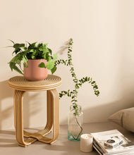 Lade das Bild in den Galerie-Viewer, Calm Rose
