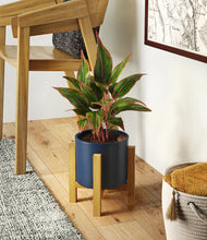 Load image into Gallery viewer, Deep Navy stand:light
