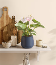 Load image into Gallery viewer, Deep Navy
