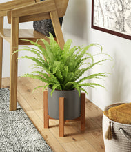 Load image into Gallery viewer, Dark Olive stand:light
