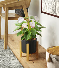 Load image into Gallery viewer, -
