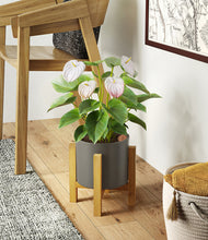 Load image into Gallery viewer, -
