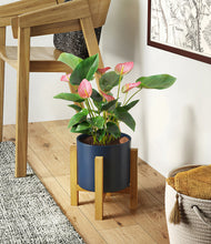 Load image into Gallery viewer, Deep Navy stand:light
