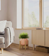 Load image into Gallery viewer, Calm Rose stand:bamboo
