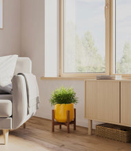 Load image into Gallery viewer, Mustard stand:walnut
