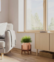 Lade das Bild in den Galerie-Viewer, Calm Rose stand:walnut
