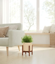 Load image into Gallery viewer, Cream stand:walnut
