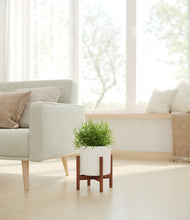 Load image into Gallery viewer, White stand:walnut
