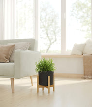 Load image into Gallery viewer, Black stand:bamboo
