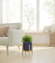 Load image into Gallery viewer, Deep Navy stand:bamboo
