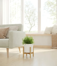 Load image into Gallery viewer, White stand:bamboo
