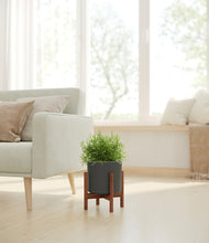 Load image into Gallery viewer, Dark Olive stand:walnut
