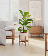 Load image into Gallery viewer, Sandy Pink stand:walnut
