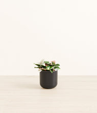 Load image into Gallery viewer, Stone Black*****Profile
