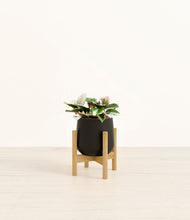 Load image into Gallery viewer, Black stand:bamboo
