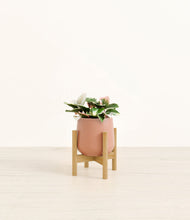 Load image into Gallery viewer, Calm Rose stand:bamboo
