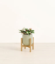 Load image into Gallery viewer, Turquoise stand:bamboo
