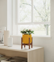 Load image into Gallery viewer, Mustard stand:walnut
