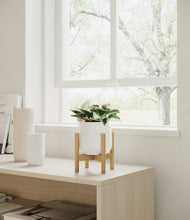 Load image into Gallery viewer, White stand:bamboo
