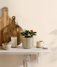 Load image into Gallery viewer, Sage Green
